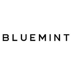 bluemint